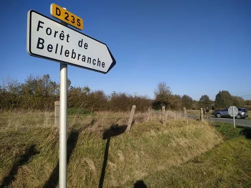 Saint Brice. La jeune joggeuse des Agêts retrouvée vivante